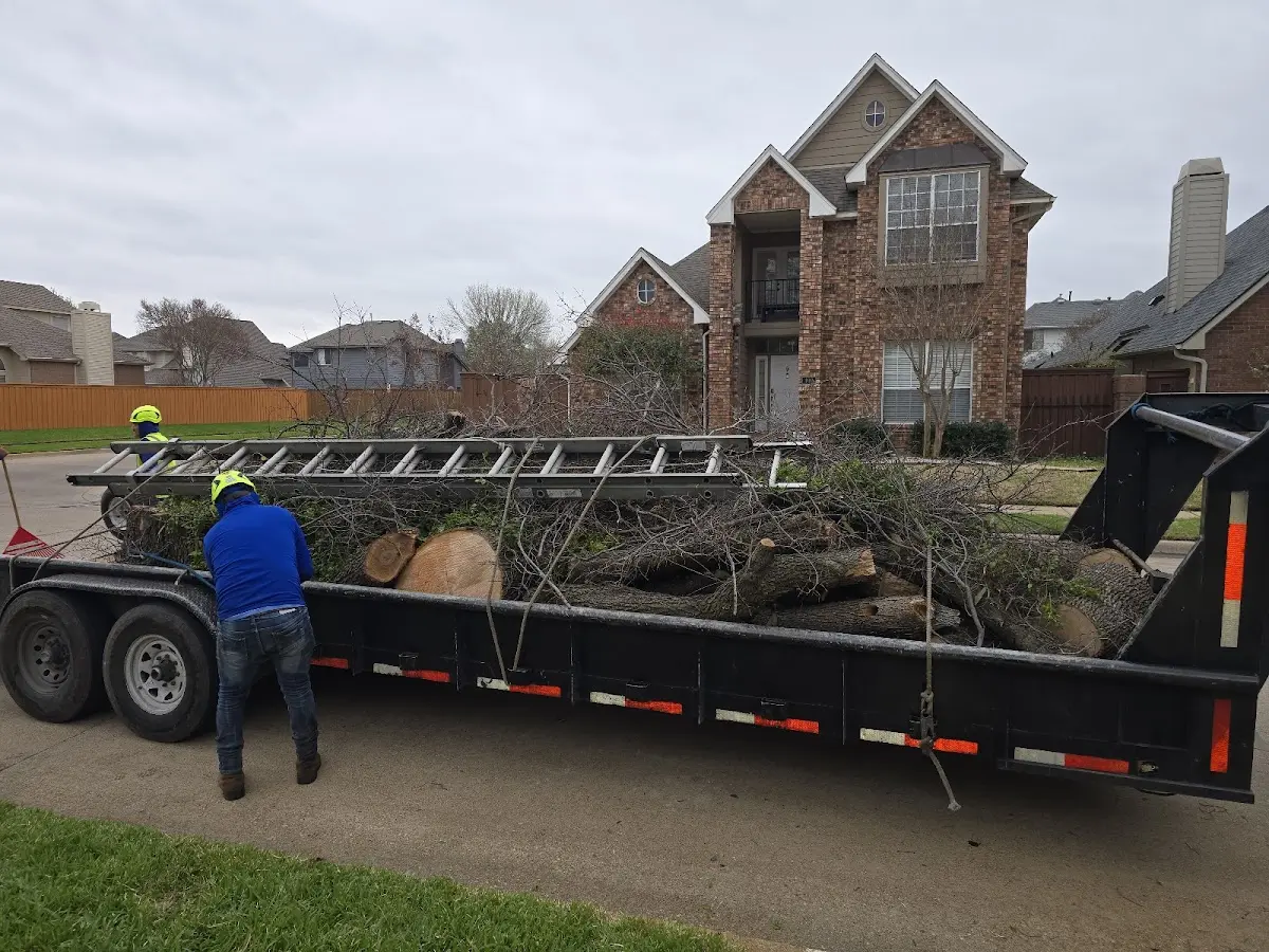 Expert Lot Clearing with proper safety equipment in Patterson